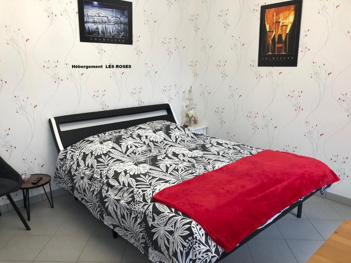 Ferienwohnung La Petalerie Épernay Exterior foto
